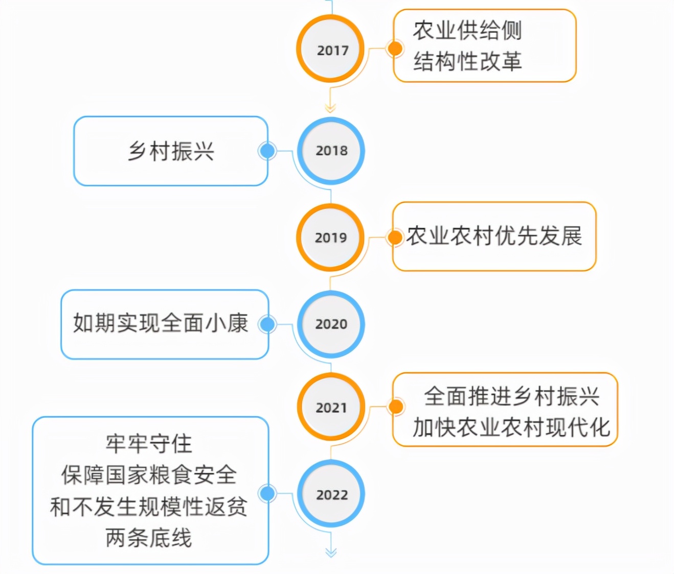 最新乡村政策引领乡村振兴之路向前迈进