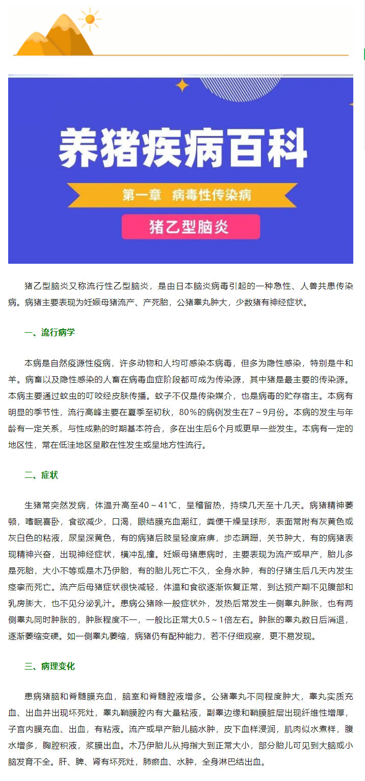 食品机械 第28页